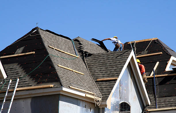 Best Roof Moss and Algae Removal  in Fort Hunt, VA